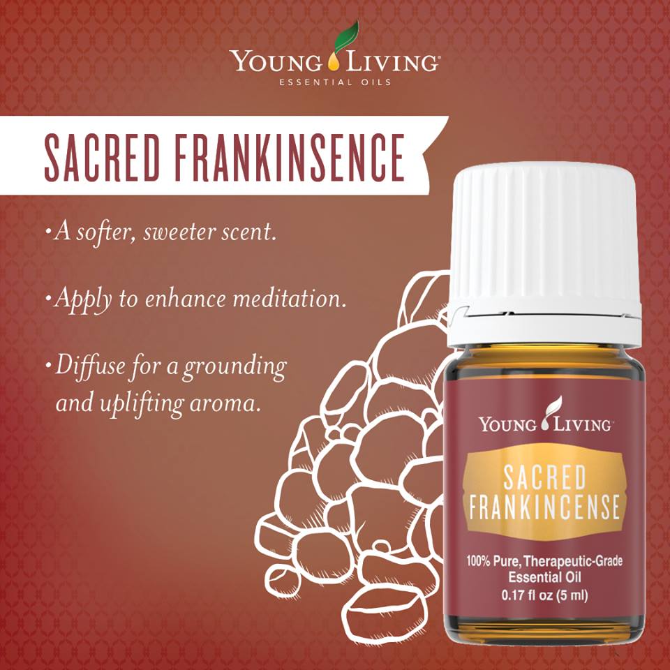 神聖乳香精油 Sacred frankincense-與神聖連結的頻率
