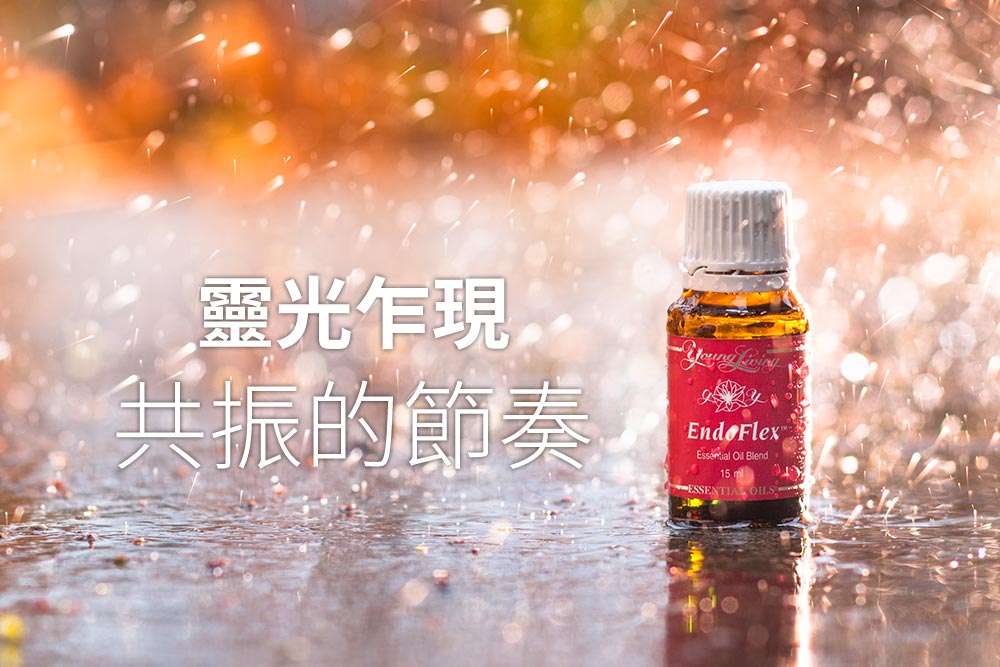 安內精油 Endoflex