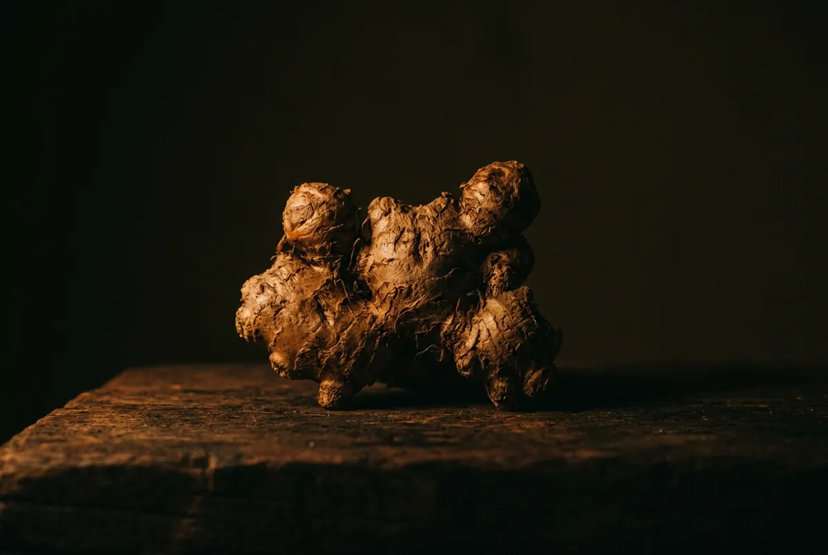 高良薑精油 Galangal，長得像薑，卻是被壓著的人含在嘴裡、撐過不公平那一局的贏家之根