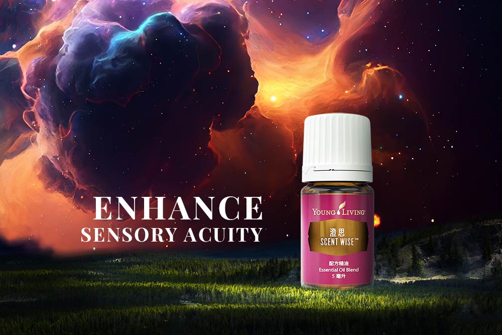 澄思精油 Scent Wise